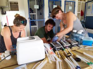 Graduate students from UHi and SIO sampling coral reef exometabolites. Credit: Craig Nelson,UH/SOEST