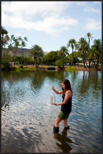Lead author Olivia Nigro collecting samples from Ala Wai Canal. 