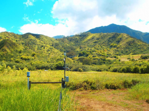 Waipā Garden rain gauge, northern slopes of Mount Wai‘ale‘ale in the background. 