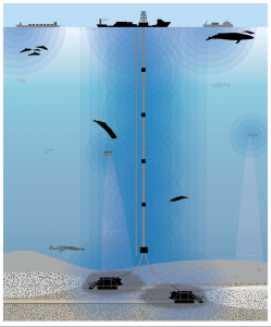 Sources of noise from deep-sea mining activities will span the entire water column
