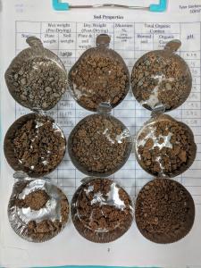 Soil samples were collected from different land uses on Hawaiʻi Island