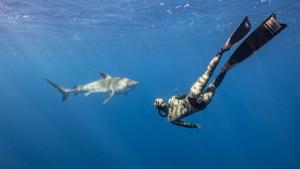 (Photo credit: National Geographic)