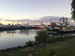 Fishing boats at dawn in Honolulu Harbor (Photo credit: Sarah Medoff)
