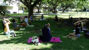 A range of workshops such as meditation, oli (chant) and mālama ʻāina were held at the event. 