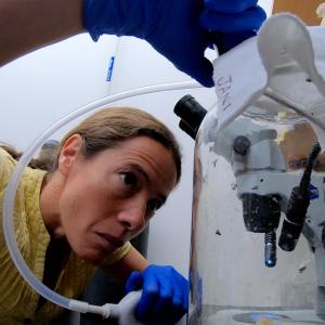Andrea Jani, a COBRE research project leader, in her lab