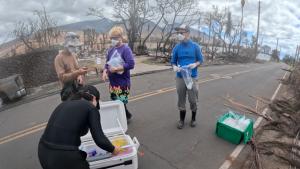 Preparing sampling materials for shoreline water testing in Lahaina. Photo credit: Andrea Kealoha