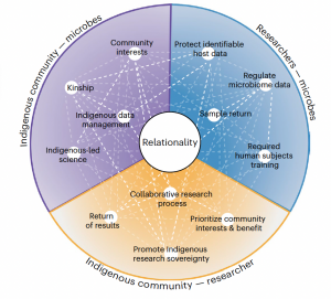 Relationality concepts in microbiome research with Indigenous peoples. Credit: Bader et al, 2023.
