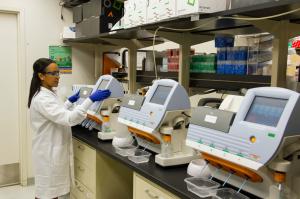 Researcher analyzing DNA in samples. Credit: National Institutes of Health.