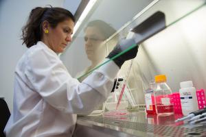 Photo courtesy: UH Cancer Center