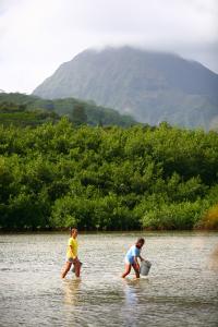 Collecting limu at the Waikalua Loko I‘a