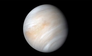 Venus. Credit: NASA/ JPL.
