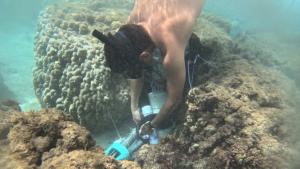 Using an autosampler on coral reefs