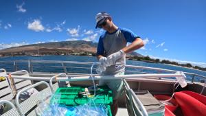 Testing for metals in coastal waters