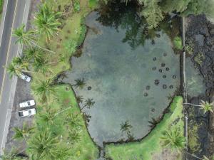 Aerial view of Honokea loko iʻa in Keaukaha, Hilo during low tide. Credit: Kainalu Steward