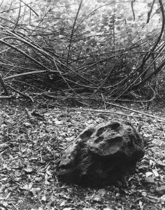 Jan Becket, Maunawila heiau, Koʻolauloa, Silver Gelatin Print