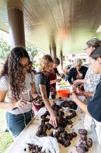 Students clean and prepare harvested kalo.