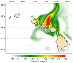 In a computer model simulation, a phytoplankton bloom is visible as a high-chlorophyll event.