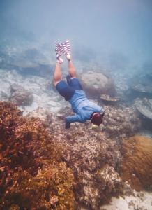 Jimmy Fumo takes a closer look at Majuro’s reef to locate Chondria tumulosa.