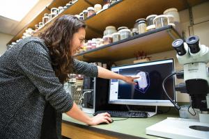 Students work on important research impacting our community and planet