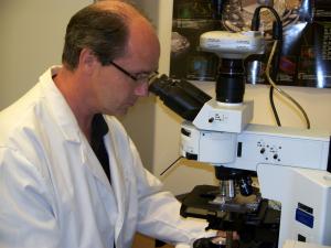 Dr. Richard Allsopp, in a JABSOM laboratory in Kaka‘ako