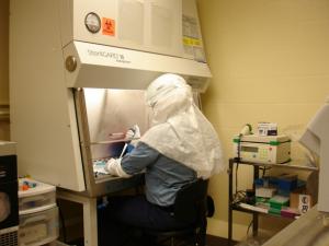 PhD student Michael Norris works at the JABSOM biosafety level three laboratory at Leahi Hospital.