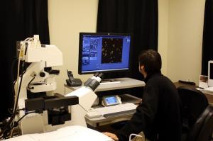 Confocal Microscope