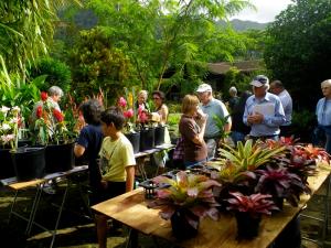 Attendees at the Arboretum's fall 2011 sale. Photo credit: Liz Huppman.
