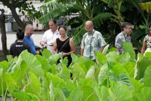 The campus community enjoying the first harvest of the mala. 