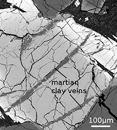 Electron microscope image showing the 700-million-year-old Martian clay veins containing boron.