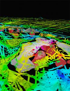 3-D view of topography & seafloor relief of Hawaiian Islands; colors show residual gravity anomaly.