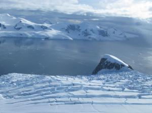 Andvord Bay, Antarctica, is a fjord hotspot of seafloor abundance and biodiversity (Craig Smith).