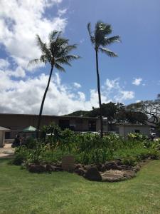 Ka Mala o Niuhelewai at Honolulu CC.
