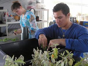 Leeward science students extend learning beyond the classroom