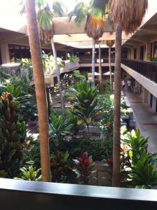 The courtyard at the William S. Richardson School of Law on the UH Manoa campus.