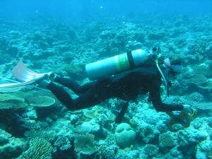 Annick Cros, a doctoral candidate in zoology attached to Steve Karl’s lab at HIMB.