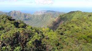 Summit view of Mt. Kaala.