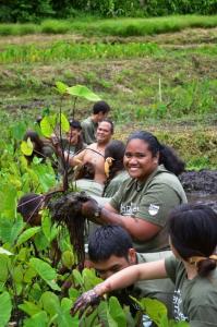 AgDiscovery students work in a lo‘i.