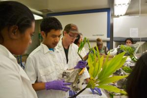 AgDiscovery students work in a plant lab.
