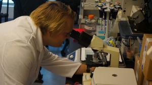 Dr. Axel Lehrer in his lab at the UH medical school.