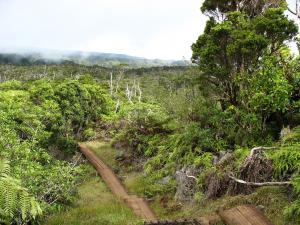 La Nina events no longer bring excess rainfall to Hawaii (courtesy Wikimedia Commons).