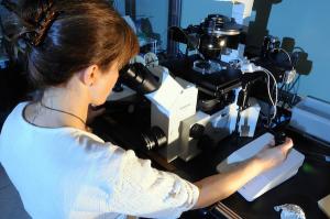 Dr. Monika Ward in her lab at the Institute for Biogenesis Research.