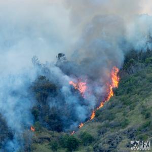 Flames move uphill in Oahu wildfire.