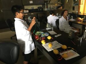 Saturday Gene-iuses students measure the energy level in fruits.