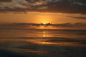 Pacific Ocean, home to Prochlorococcus. Credit: Tara Clemente, UH SOEST.