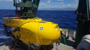 HURL submersible ready for launch. Credit: Jana Light, UHF.