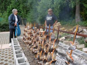 Members of the Tulalip Tribes cooking salmon traditionally on ironwood sticks over wood coals. Courtesy Oregon Museum of Science and Industry.