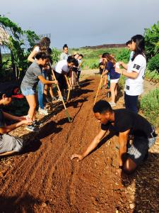 Students in UH West O&#699;ahu's Sustainability Community Food Systems course.