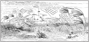 Artist’s rendering of the destruction during the Hawai‘i hurricane of 1871; Businger et al., 2018.