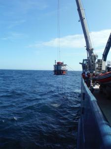 Filters prepared for collecting microbial biomass from the deep subseafloor of the Juan de Fuca Ridge flank. Photo credit M. Rappe. Filters prepared for collecting microbial biomass from the deep subseafloor of the Juan de Fuca Ridge flank. Photo credit M. Rappe.