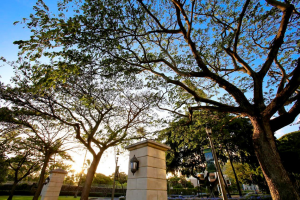 UH Manoa 